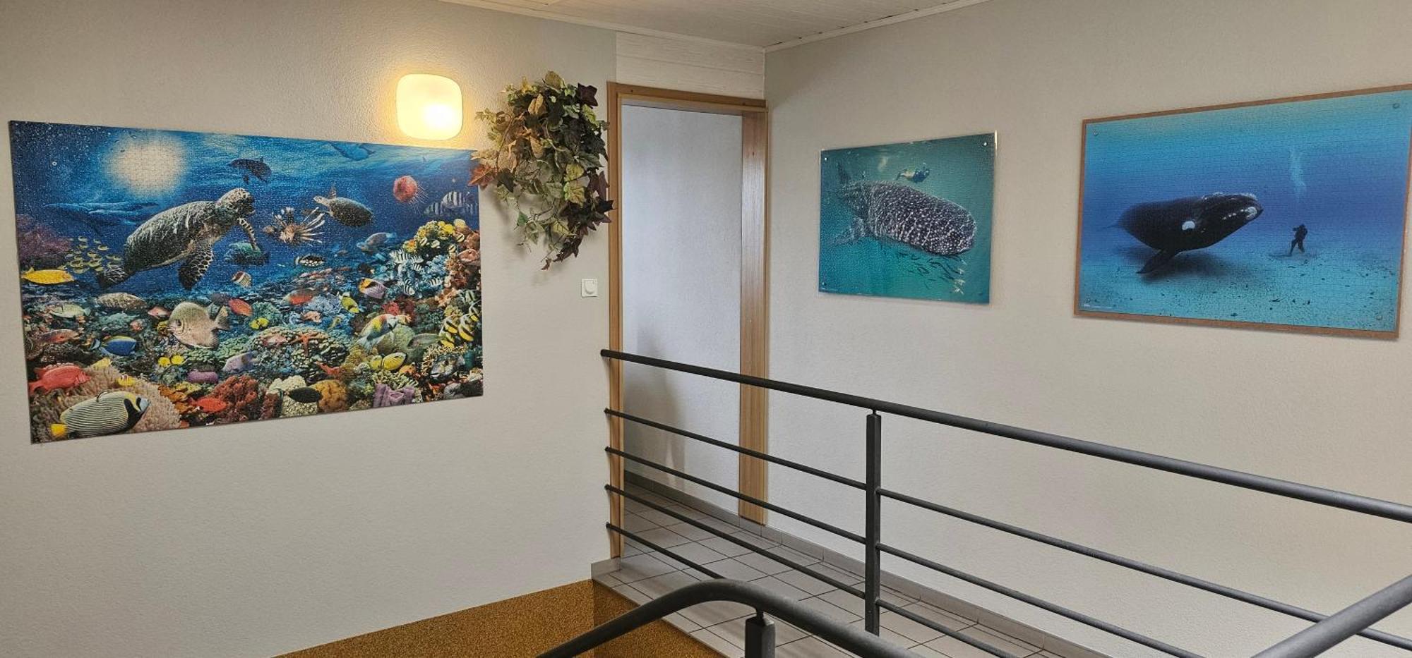 Budziar - Kwatery Nad Morzem Ujście-Darłowskie Eksteriør billede